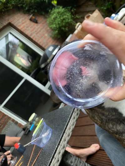 Tongue Out Tuesday-Beitrag-Bild