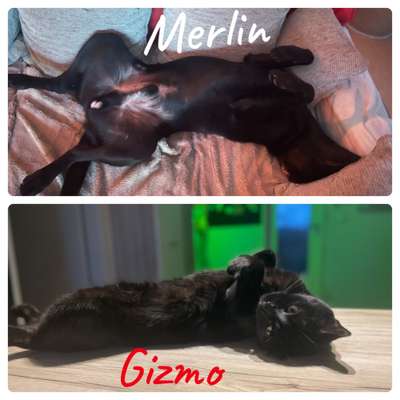 Fotochallenge Nr.65-Beitrag-Bild