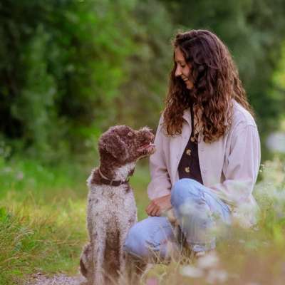 Giftköder-Hundetraining und Hundebetreuung-Bild