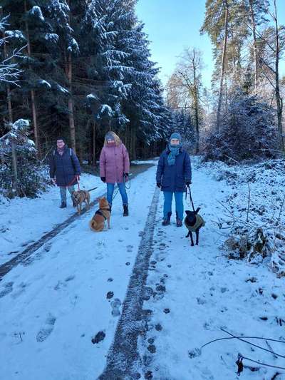 Giftköder-Walk + Work - Lernspaziergang-Bild