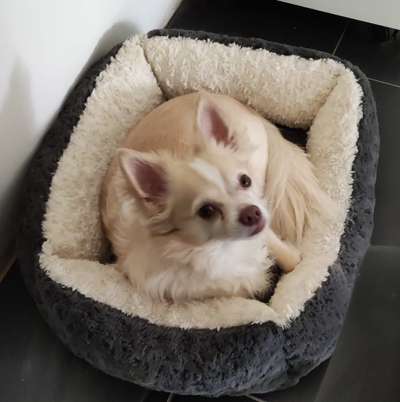 Blick fürs Detail!-Beitrag-Bild