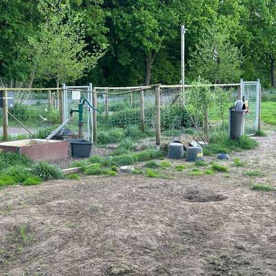 Hundeauslaufgebiet-Städtische Hundewiese Rietberg-Bild