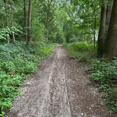 Hundeauslaufgebiet-Am Furlbach-Bild