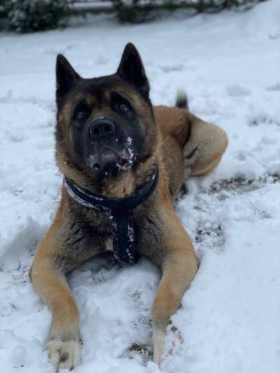 Lieblings Fotos-Beitrag-Bild