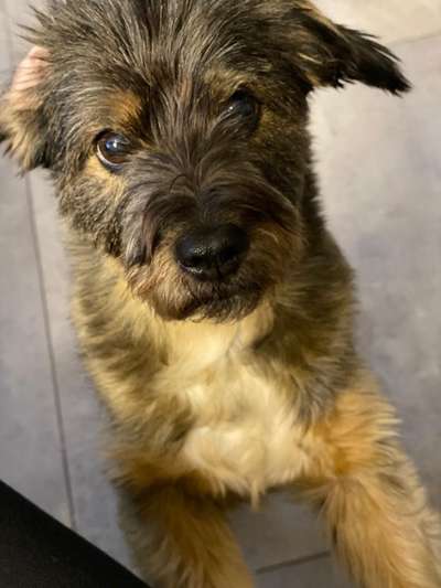 Lieblings Fotos-Beitrag-Bild