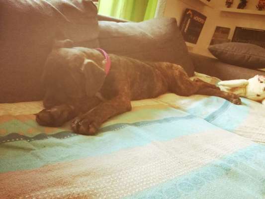 Die unbequemsten und lustigsten Schlafpositionen-Beitrag-Bild