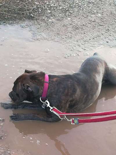 Foto Challenge - BEENDET - bitte aktuelle Challenge nutzen-Beitrag-Bild