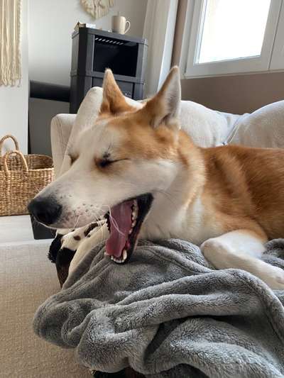 Her mit dem Grimassen-Beitrag-Bild