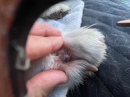 Was könnte das sein?-Beitrag-Bild