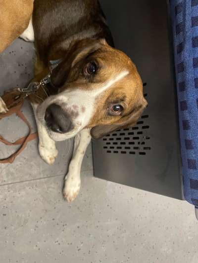 Vorher.... Nachher-Beitrag-Bild