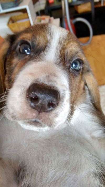 Vorher.... Nachher-Beitrag-Bild