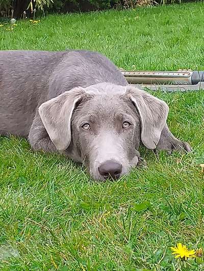 Fotochallange Nr. 57     PORTRÄT.   Beendet!!!!!!!!-Beitrag-Bild