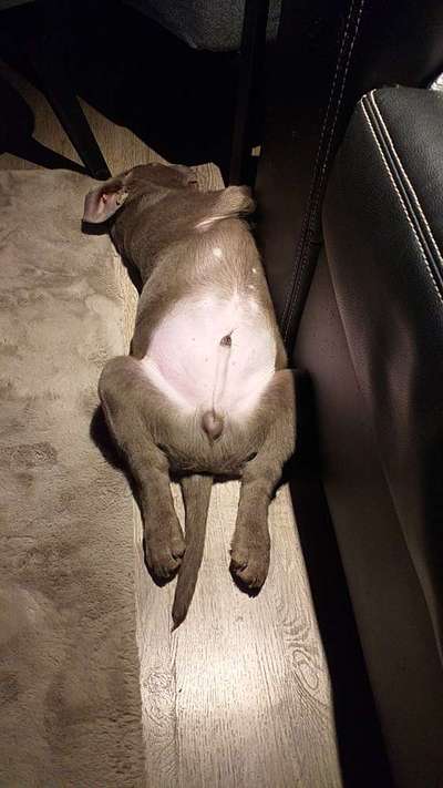 Fotochallenge Nr.65-Beitrag-Bild