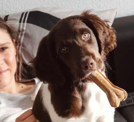 Lieblingsbild-Beitrag-Bild