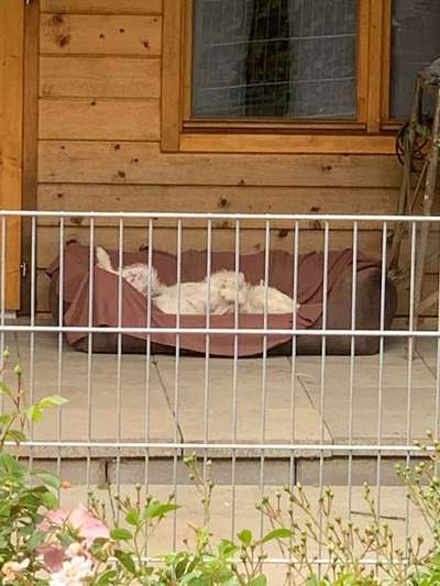 Die unbequemsten und lustigsten Schlafpositionen-Beitrag-Bild