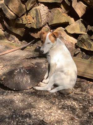 Die unbequemsten und lustigsten Schlafpositionen-Beitrag-Bild