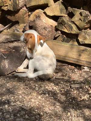 Die unbequemsten und lustigsten Schlafpositionen-Beitrag-Bild