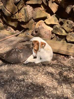 Die unbequemsten und lustigsten Schlafpositionen-Beitrag-Bild