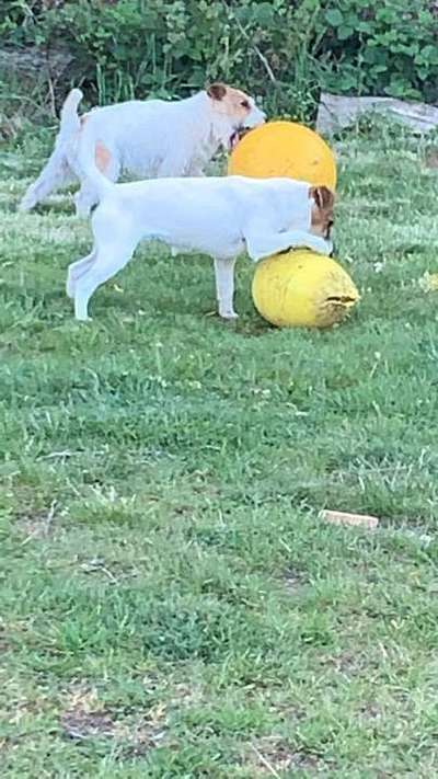 Coole Spielzeuge ?-Beitrag-Bild