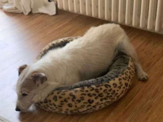 Die unbequemsten und lustigsten Schlafpositionen-Beitrag-Bild