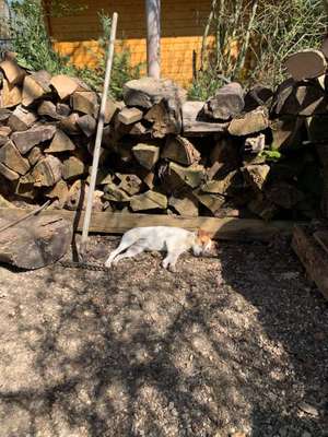 Die unbequemsten und lustigsten Schlafpositionen-Beitrag-Bild