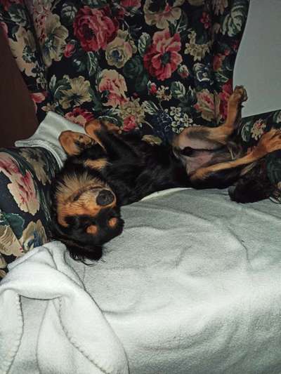 Lieblingsbild-Beitrag-Bild