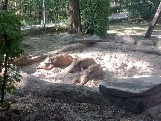 Was hat euch heute genervt?-Beitrag-Bild