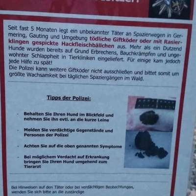 Giftköder-Giftköder und mit Rasierklingen-Bild
