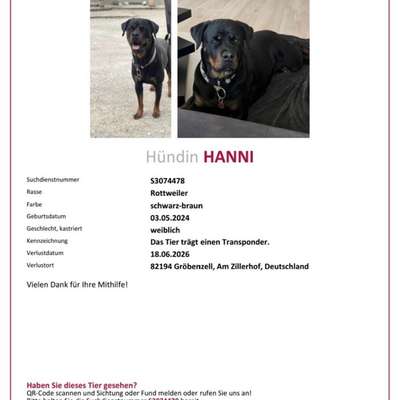 Suchmeldung-Hanni-Bild