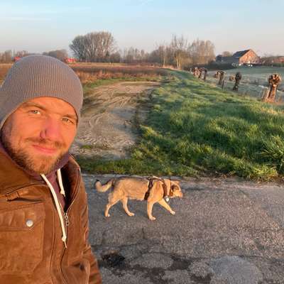 Hundetreffen-Gassi oder Spielrunden