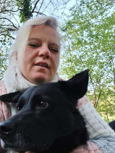 Auslandstierschutz-Beitrag-Bild