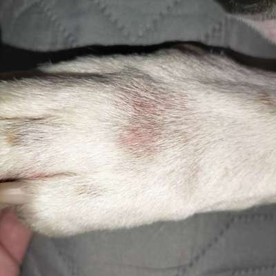 Hautproblem-Beitrag-Bild