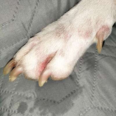 Hautproblem-Beitrag-Bild