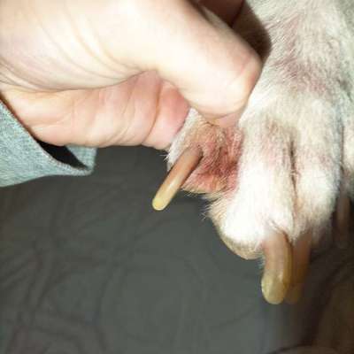 Hautproblem-Beitrag-Bild