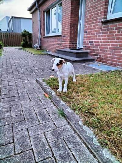 Ach, wie schnell die Zeit vergeht-Beitrag-Bild