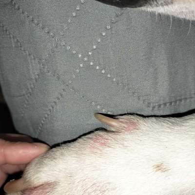 Hautproblem-Beitrag-Bild