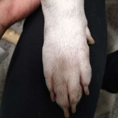 Hautproblem-Beitrag-Bild