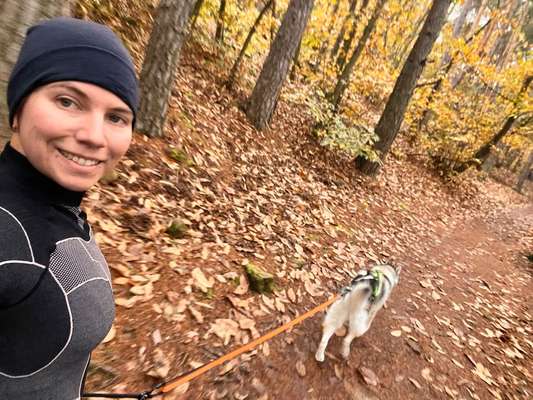 Hundetreffen-Zughundesport-Bild