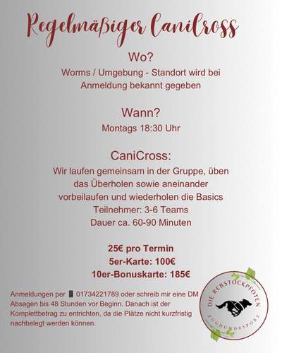 Hundetreffen-CaniCross und CaniWalk-Bild