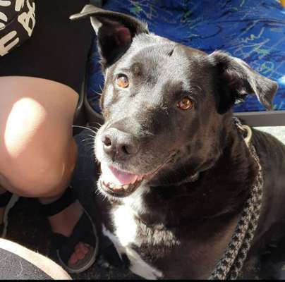 Lieblingsbild-Beitrag-Bild