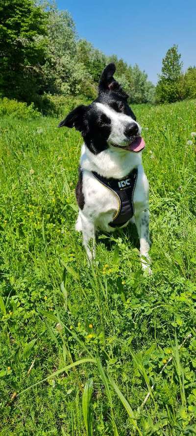 Lieblingsbild-Beitrag-Bild