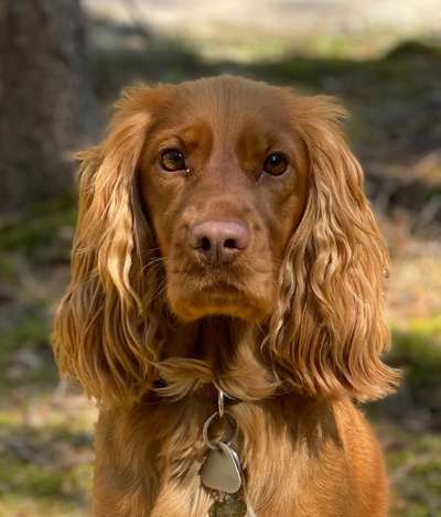 Fotochallange Nr. 57     PORTRÄT.   Beendet!!!!!!!!-Beitrag-Bild