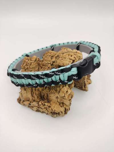 Suche Schmuckband-Beitrag-Bild