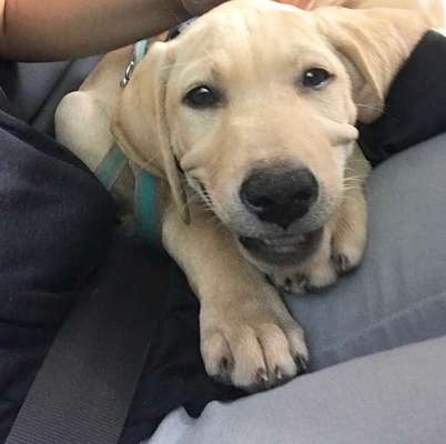 Immer lächeln !-Beitrag-Bild