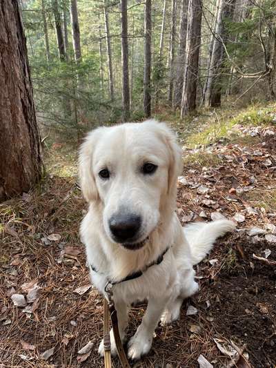 Doppelgänger gesucht !-Beitrag-Bild