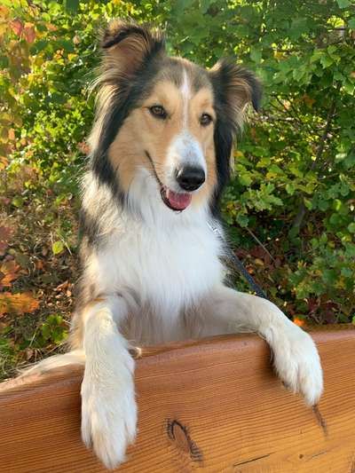 Pause an der Bank-Beitrag-Bild