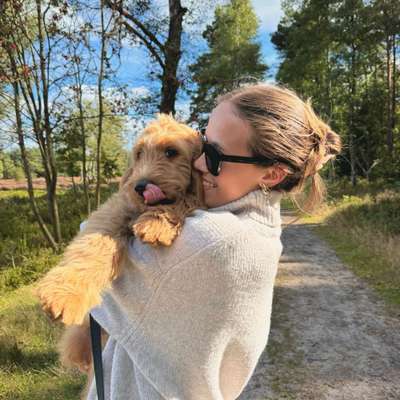 Hundetreffen-Übungsspaziergang / normale Gassirunde-Bild