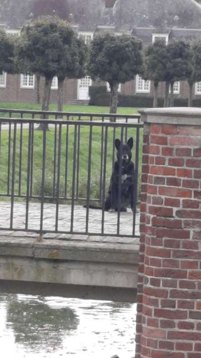 Foto Challenge Thema "Brücke"-Beitrag-Bild