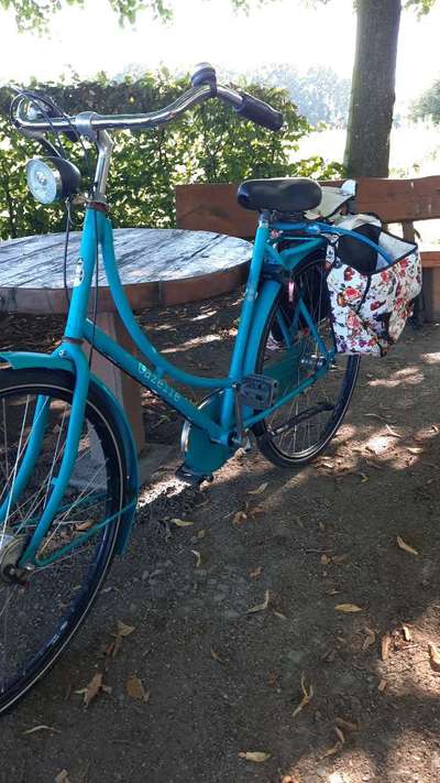 Radfahren mit Hund-Beitrag-Bild