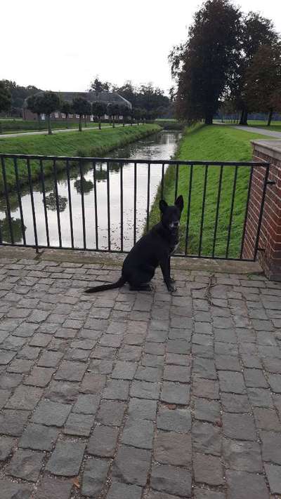 Foto Challenge Thema "Brücke"-Beitrag-Bild